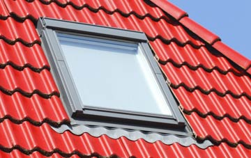 roof windows Prospect, Cumbria
